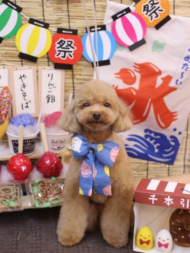 20240707ララちゃん